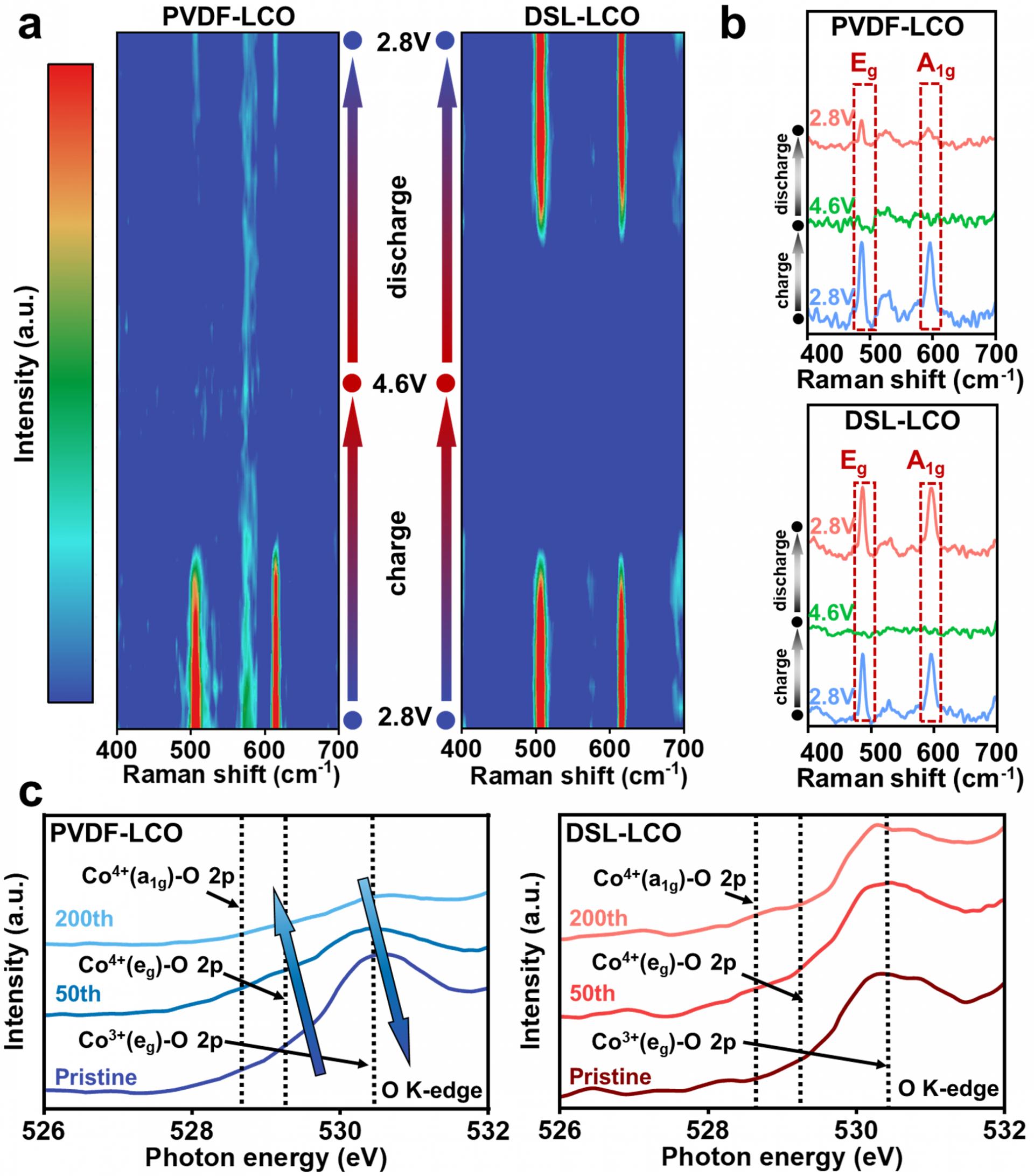 WPI研究人员取得突破性进展 使下一代锂电池更加安全WPI研究人员取得突破性进展 使下一代锂电池更加安全
