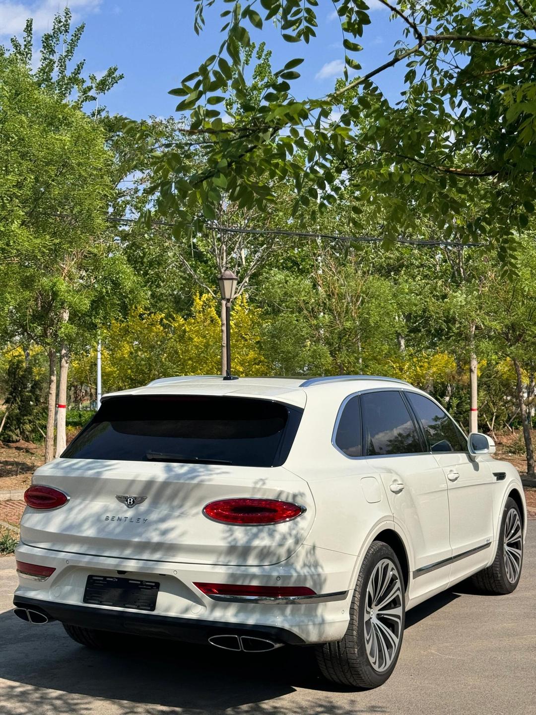 添越最新报价203万起