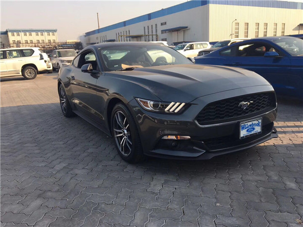 野马加拿大版团购钜惠17万 欢迎前来试驾