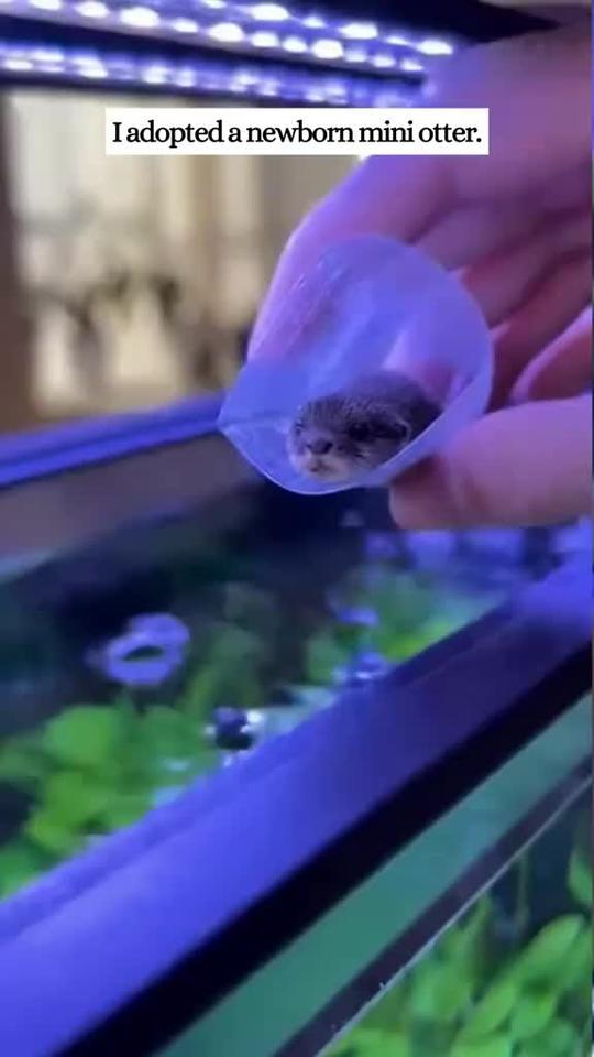 青白江海豹售价16.58万起 暂无优惠