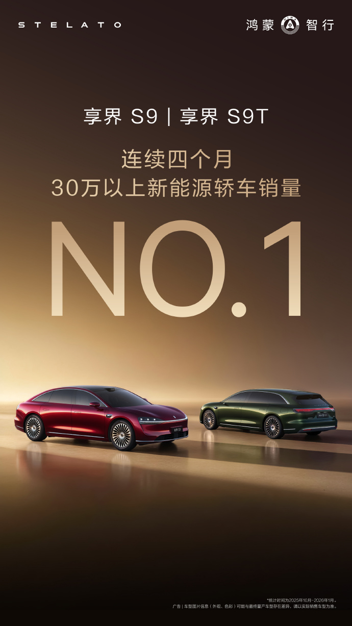 2月乘用车市场遇阶段性低谷，新能源板块“内冷外热”